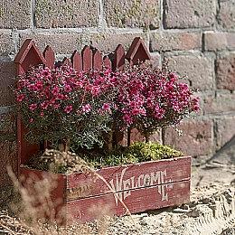 PS 商城11月下载量排行 《使命召唤：先锋》登顶